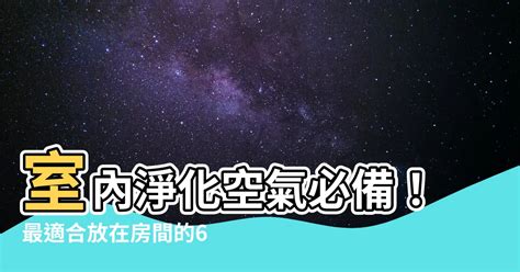 什麼植物可以放房間|什麼植物可以放房間？淨化空氣必備的 7 大室內植物推薦